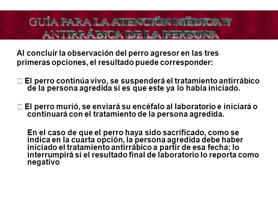 GUÍA PARA LA ATENCIÓN MÉDICA Y ANTIRRÁBICA DE LA PERSONA