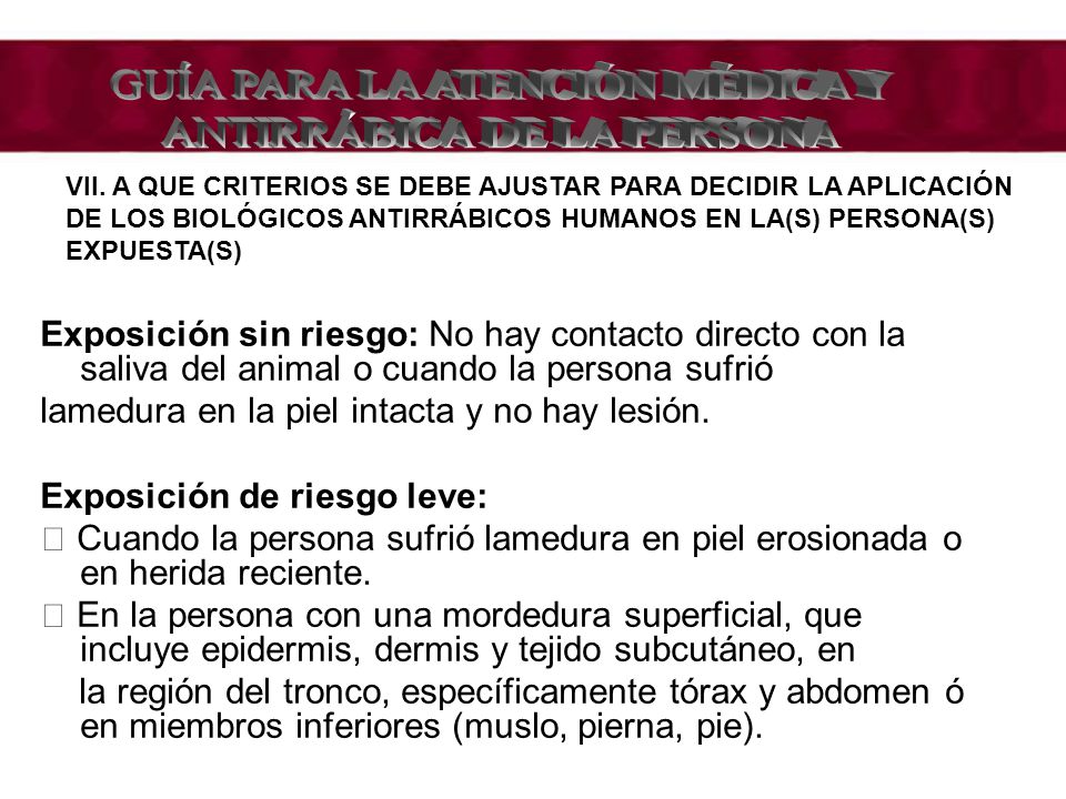 GUÍA PARA LA ATENCIÓN MÉDICA Y ANTIRRÁBICA DE LA PERSONA