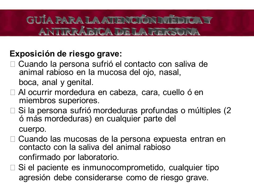 GUÍA PARA LA ATENCIÓN MÉDICA Y ANTIRRÁBICA DE LA PERSONA