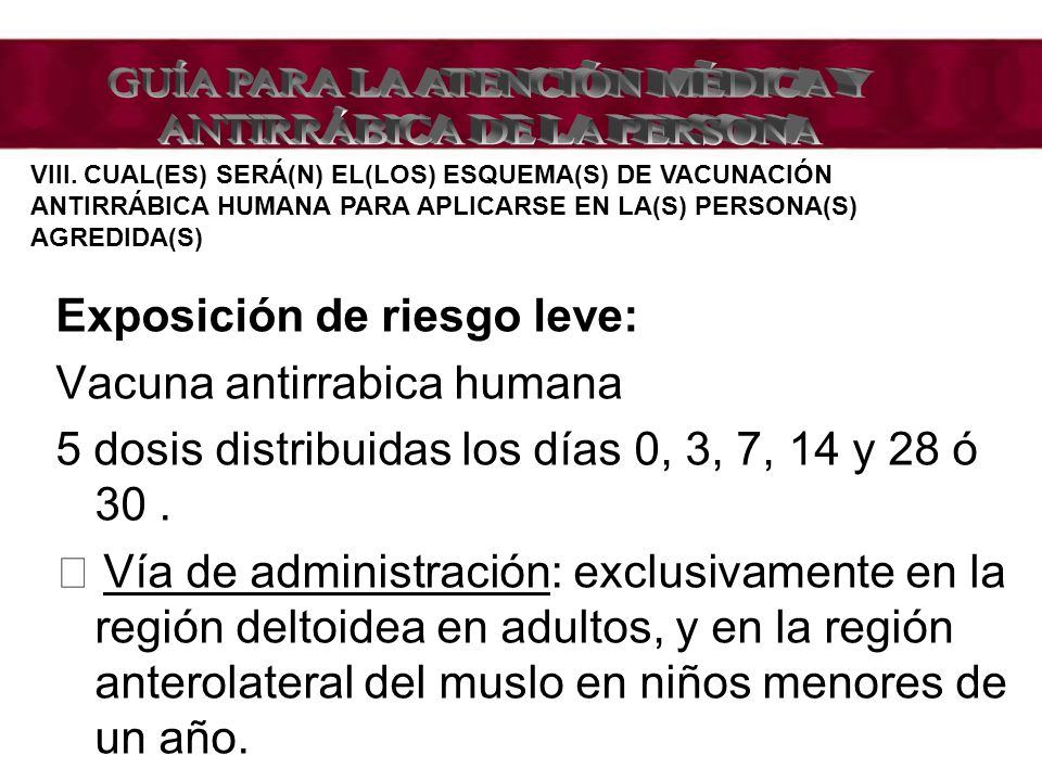 GUÍA PARA LA ATENCIÓN MÉDICA Y ANTIRRÁBICA DE LA PERSONA
