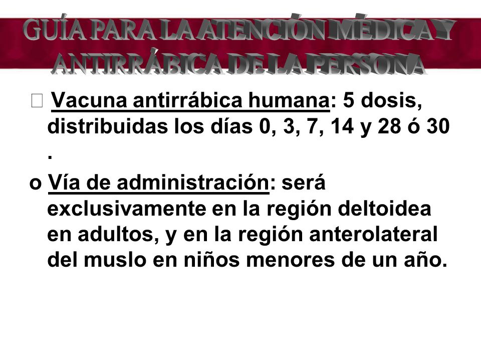 GUÍA PARA LA ATENCIÓN MÉDICA Y ANTIRRÁBICA DE LA PERSONA