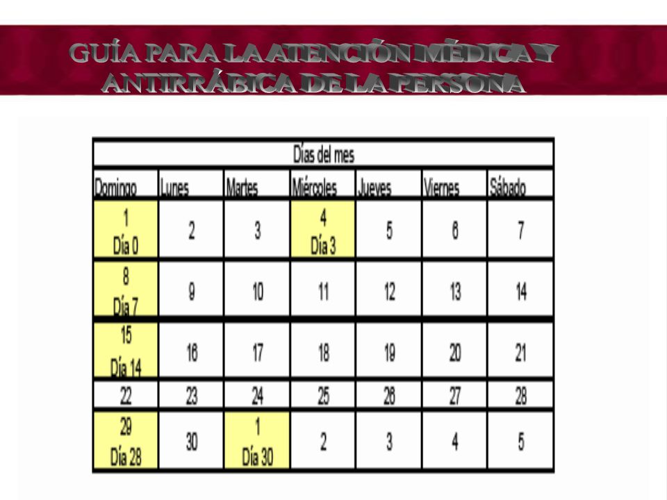 GUÍA PARA LA ATENCIÓN MÉDICA Y ANTIRRÁBICA DE LA PERSONA