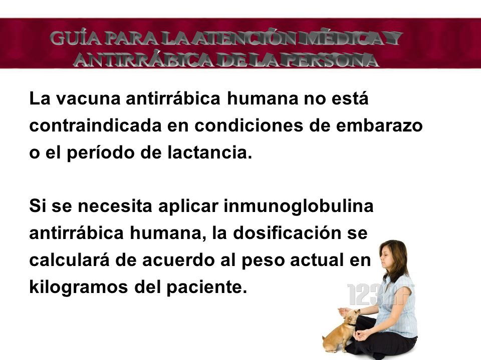 GUÍA PARA LA ATENCIÓN MÉDICA Y ANTIRRÁBICA DE LA PERSONA