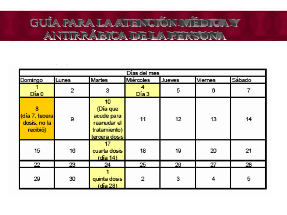 GUÍA PARA LA ATENCIÓN MÉDICA Y ANTIRRÁBICA DE LA PERSONA