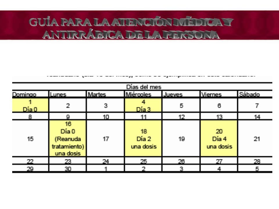 GUÍA PARA LA ATENCIÓN MÉDICA Y ANTIRRÁBICA DE LA PERSONA