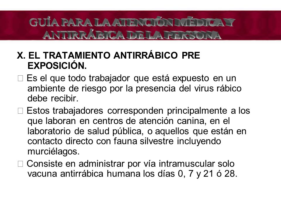 GUÍA PARA LA ATENCIÓN MÉDICA Y ANTIRRÁBICA DE LA PERSONA