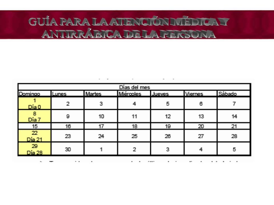 GUÍA PARA LA ATENCIÓN MÉDICA Y ANTIRRÁBICA DE LA PERSONA