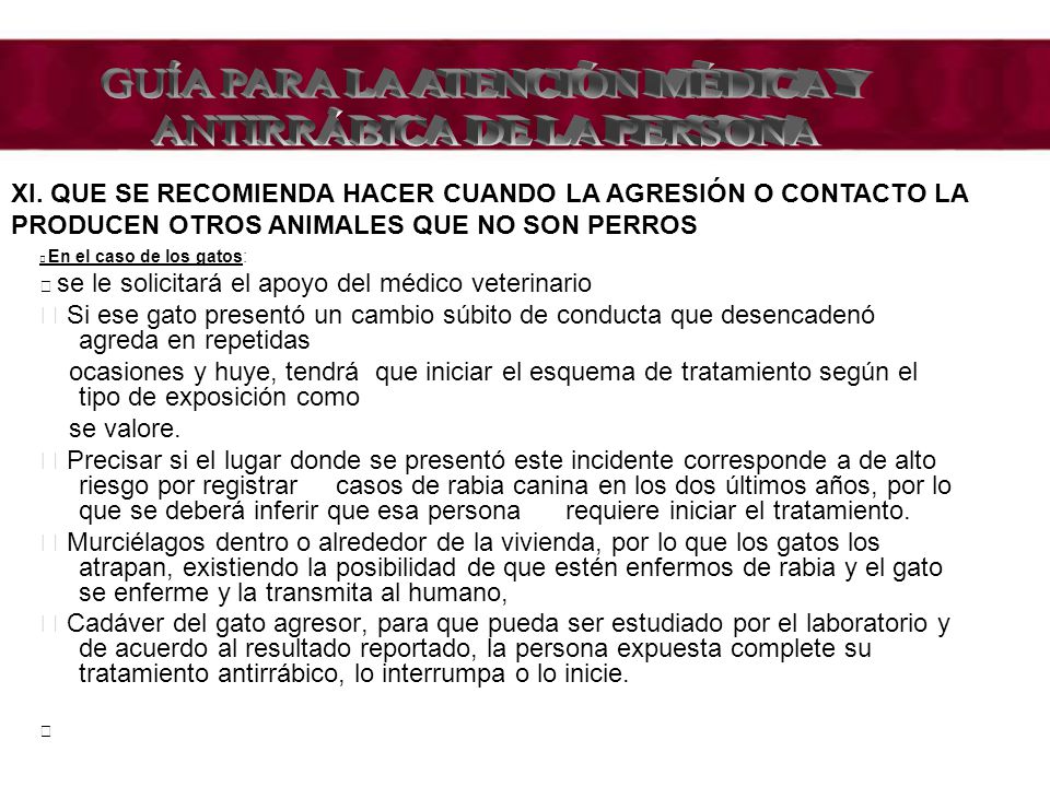 GUÍA PARA LA ATENCIÓN MÉDICA Y ANTIRRÁBICA DE LA PERSONA