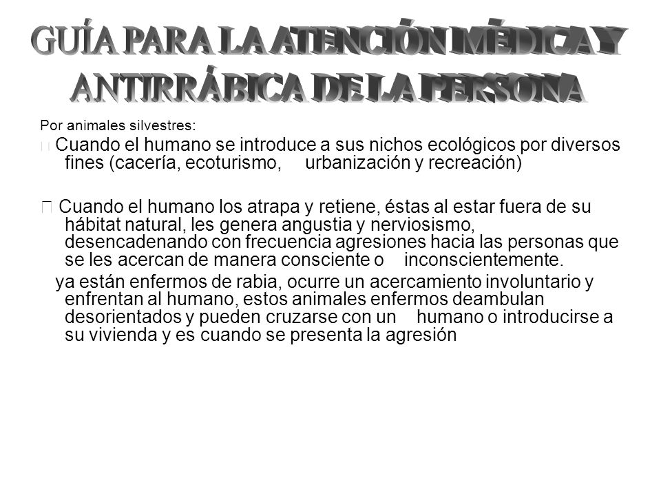 GUÍA PARA LA ATENCIÓN MÉDICA Y ANTIRRÁBICA DE LA PERSONA