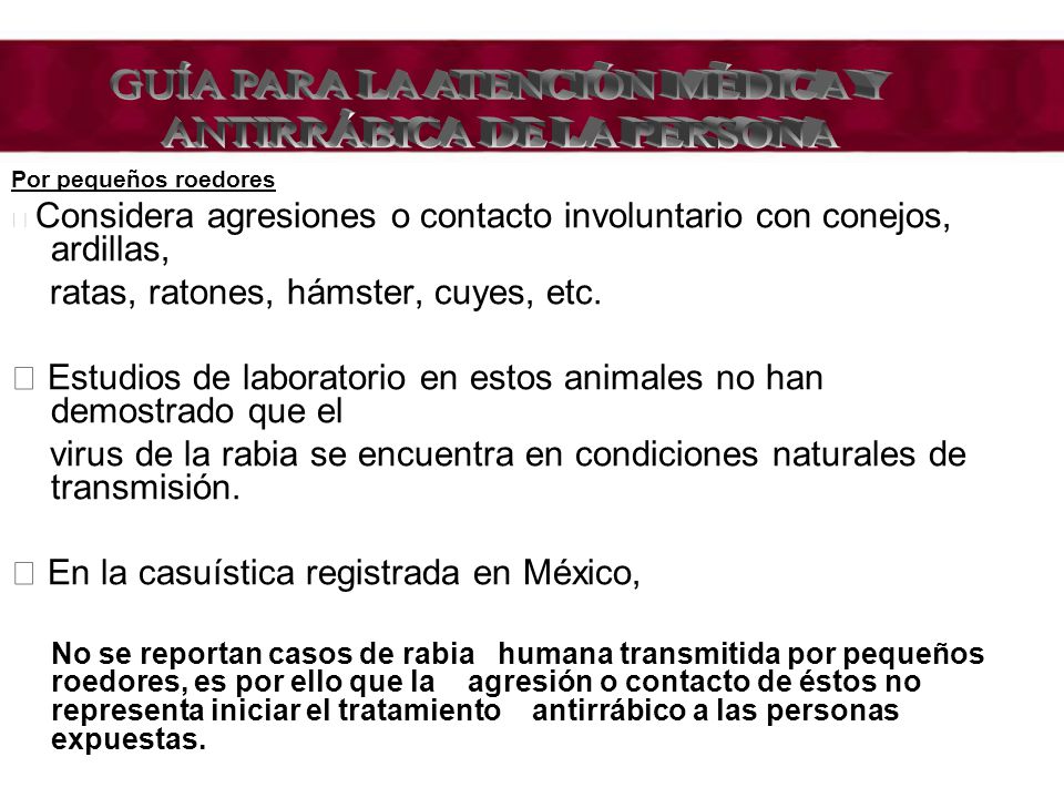 GUÍA PARA LA ATENCIÓN MÉDICA Y ANTIRRÁBICA DE LA PERSONA