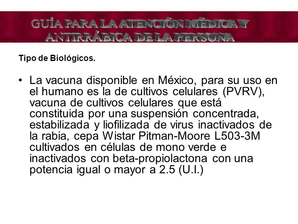 GUÍA PARA LA ATENCIÓN MÉDICA Y ANTIRRÁBICA DE LA PERSONA