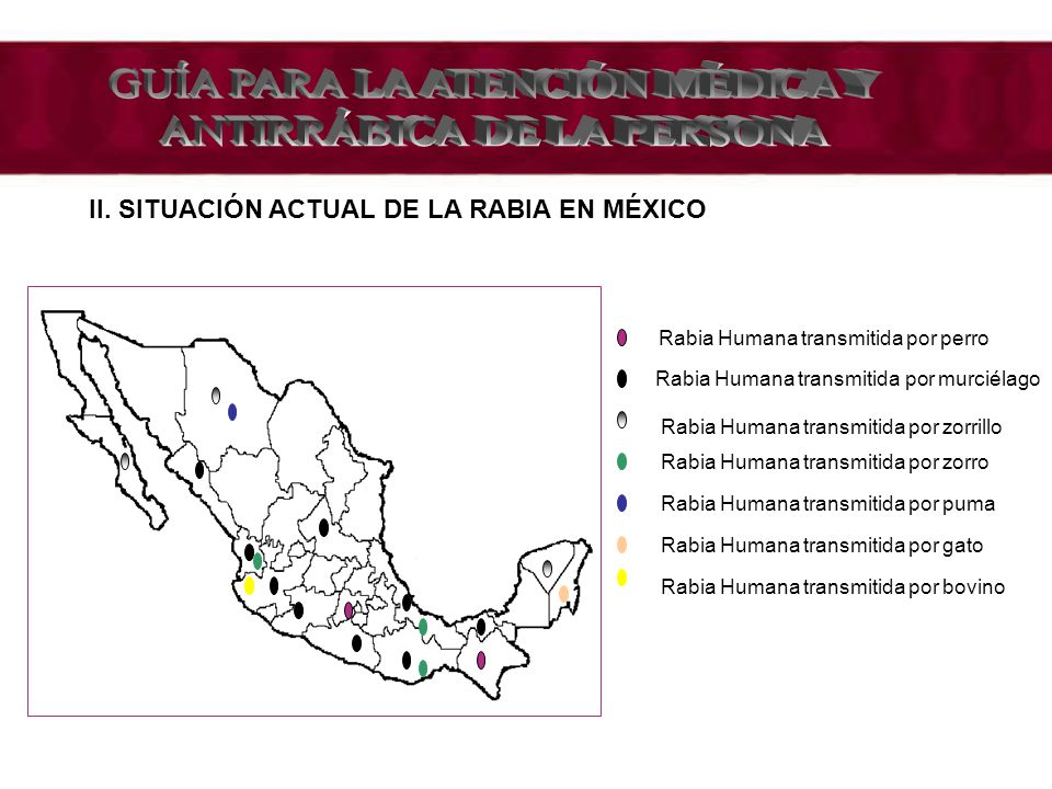 GUÍA PARA LA ATENCIÓN MÉDICA Y ANTIRRÁBICA DE LA PERSONA