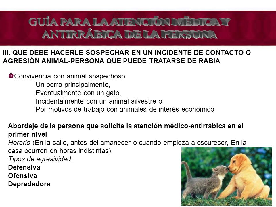 GUÍA PARA LA ATENCIÓN MÉDICA Y ANTIRRÁBICA DE LA PERSONA