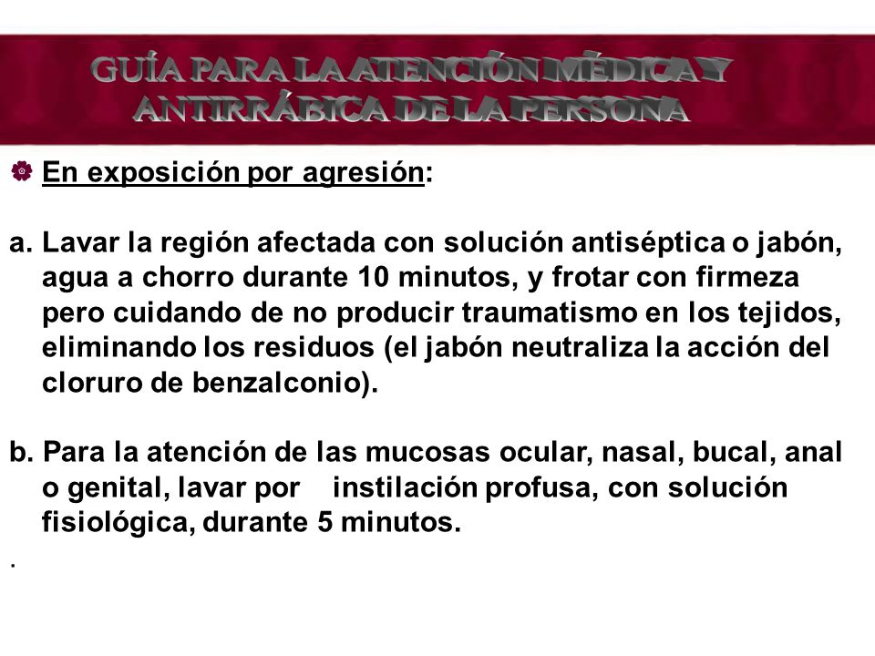 GUÍA PARA LA ATENCIÓN MÉDICA Y ANTIRRÁBICA DE LA PERSONA