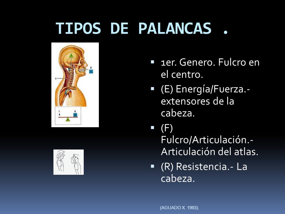 TIPOS DE PALANCAS . 1er. Genero. Fulcro en el centro.