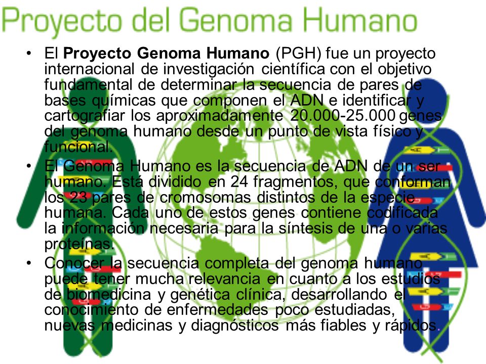 El Proyecto Genoma Humano (PGH) fue un proyecto internacional de investigación científica con el objetivo fundamental de determinar la secuencia de pares de bases químicas que componen el ADN e identificar y cartografiar los aproximadamente genes del genoma humano desde un punto de vista físico y funcional.