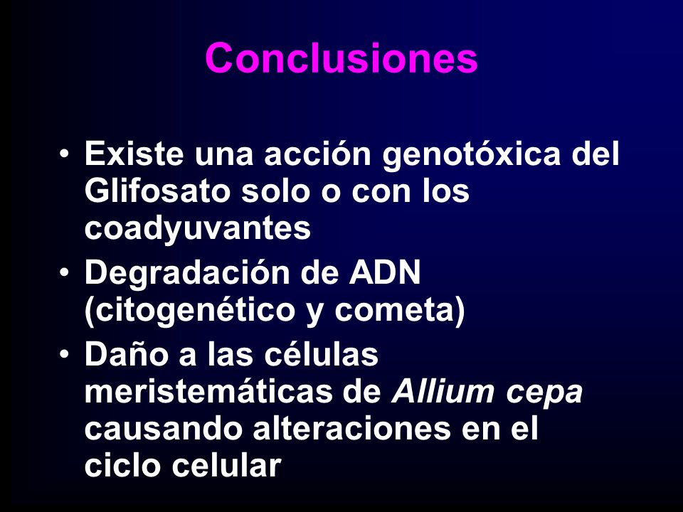 Conclusiones Existe una acción genotóxica del Glifosato solo o con los coadyuvantes. Degradación de ADN (citogenético y cometa)