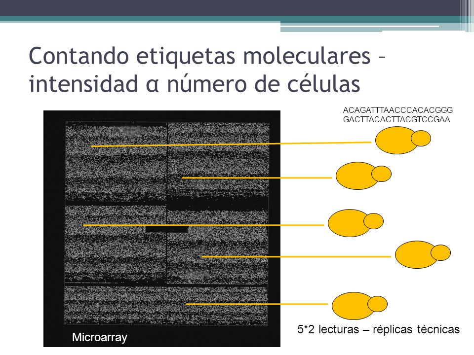 Contando etiquetas moleculares – intensidad α número de células