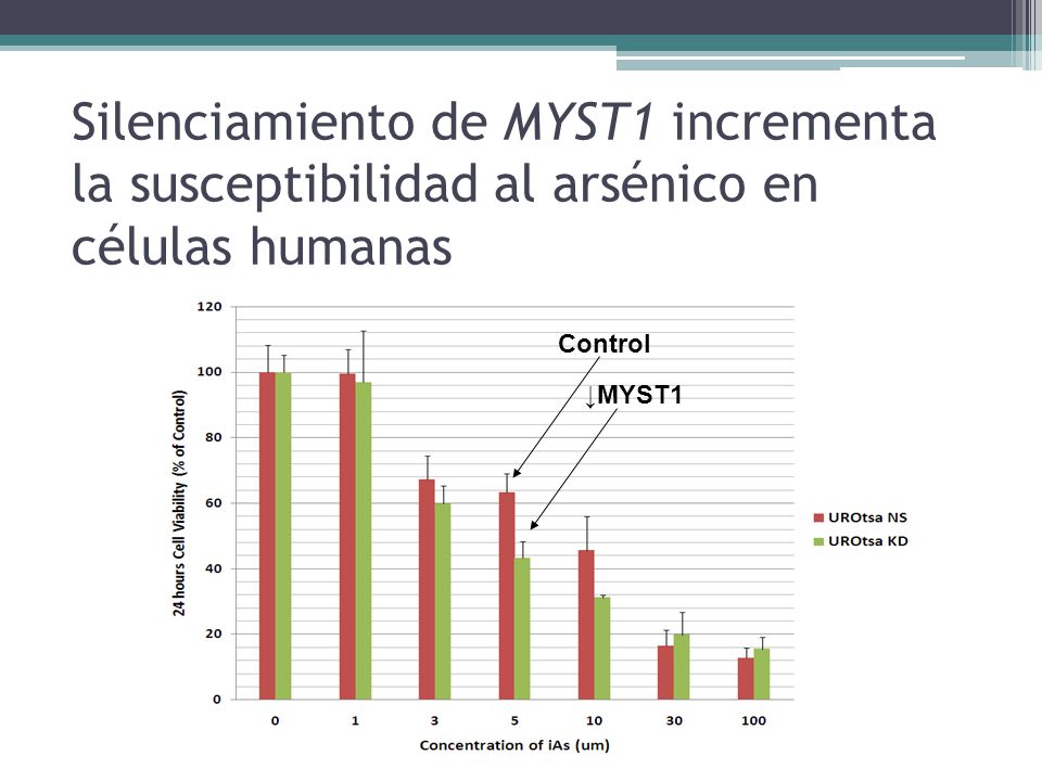 Silenciamiento de MYST1 incrementa la susceptibilidad al arsénico en células humanas