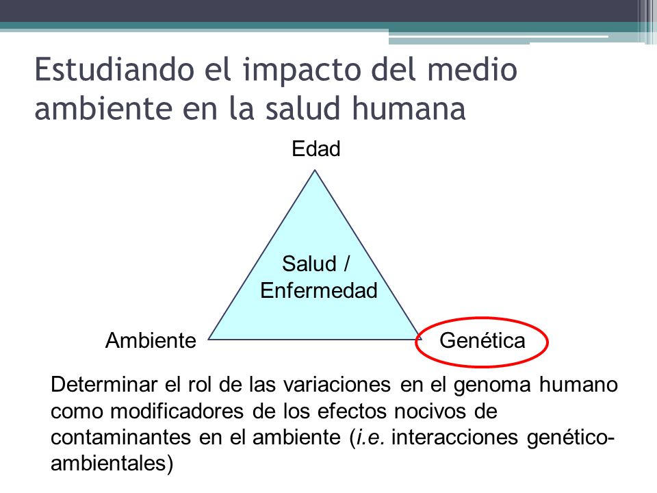 Estudiando el impacto del medio ambiente en la salud humana