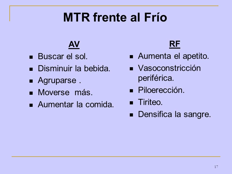 MTR frente al Frío AV RF Buscar el sol. Aumenta el apetito.
