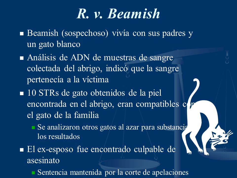 R. v. Beamish Beamish (sospechoso) vivía con sus padres y un gato blanco.