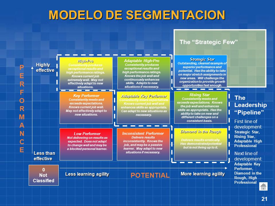 MODELO DE SEGMENTACION Adaptable Key Performer Inconsistent Performer