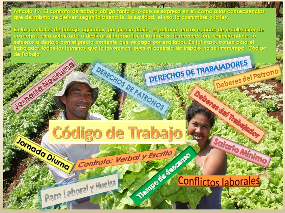 Conflictos laborales Código de Trabajo Paro Laboral y Huelga