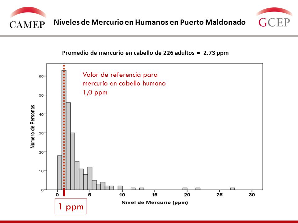 CAMEP 1 ppm Niveles de Mercurio en Humanos en Puerto Maldonado