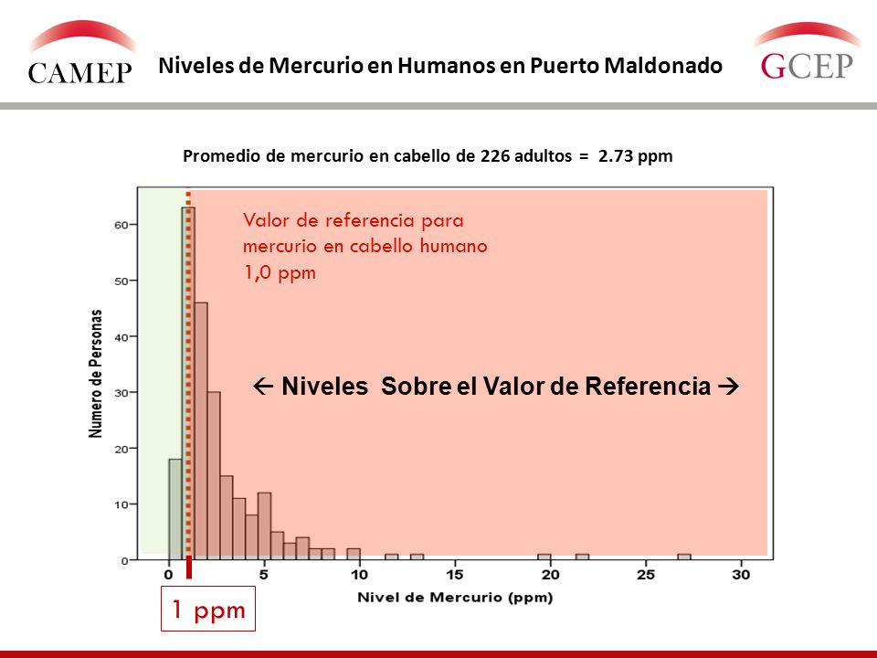 CAMEP 1 ppm Niveles de Mercurio en Humanos en Puerto Maldonado