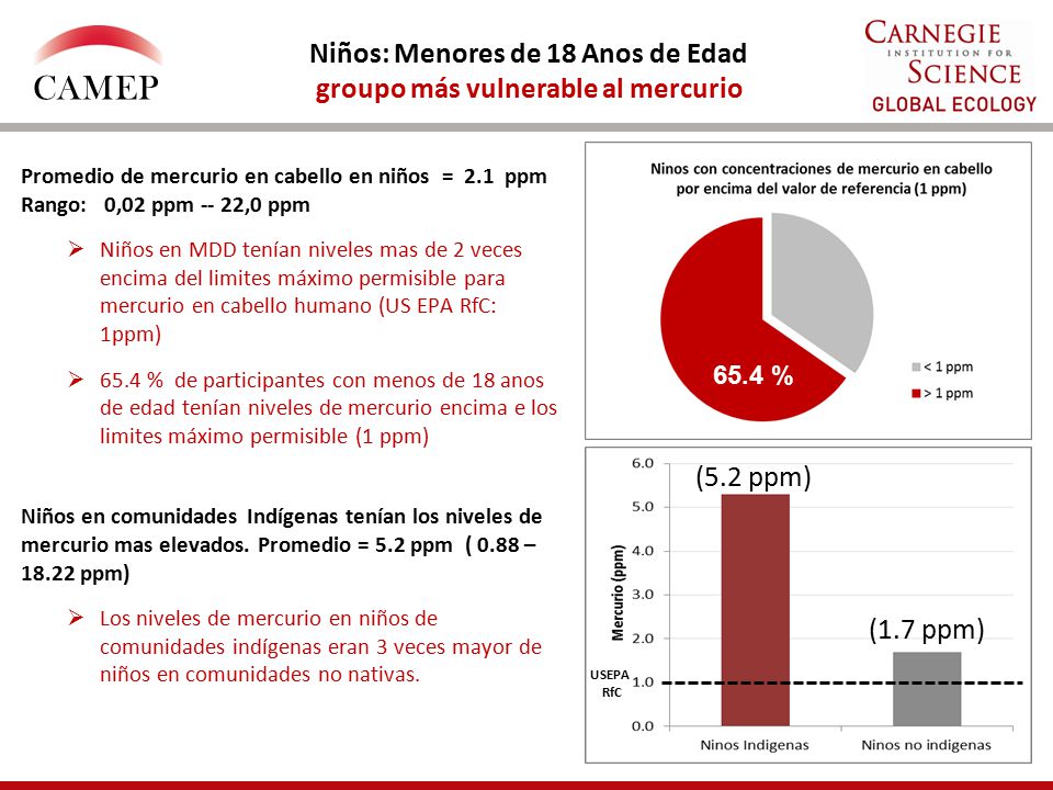 Niños: Menores de 18 Anos de Edad groupo más vulnerable al mercurio