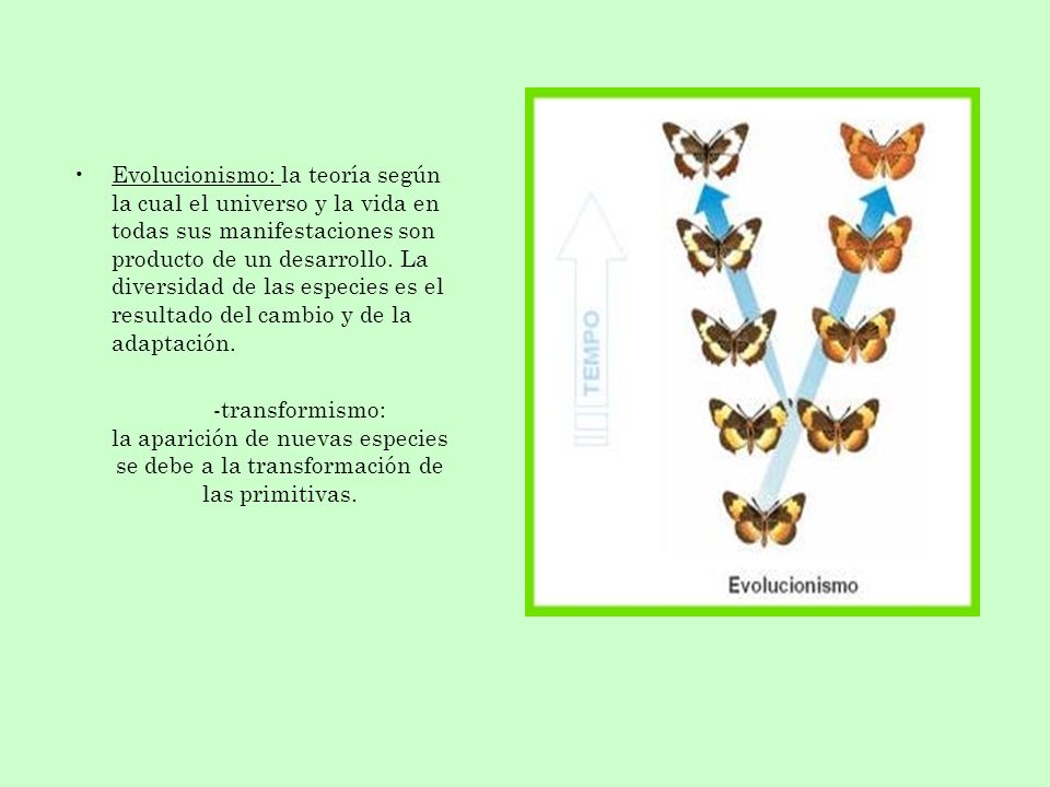 Evolucionismo: la teoría según la cual el universo y la vida en todas sus manifestaciones son producto de un desarrollo. La diversidad de las especies es el resultado del cambio y de la adaptación.