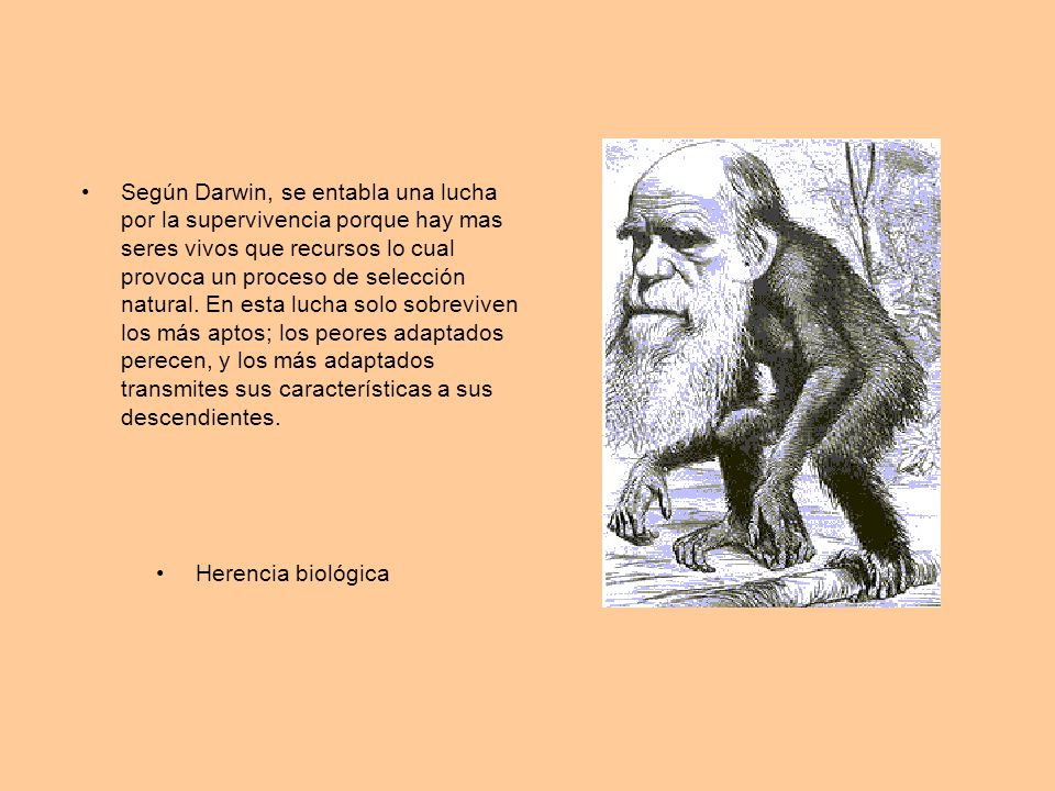 Según Darwin, se entabla una lucha por la supervivencia porque hay mas seres vivos que recursos lo cual provoca un proceso de selección natural. En esta lucha solo sobreviven los más aptos; los peores adaptados perecen, y los más adaptados transmites sus características a sus descendientes.