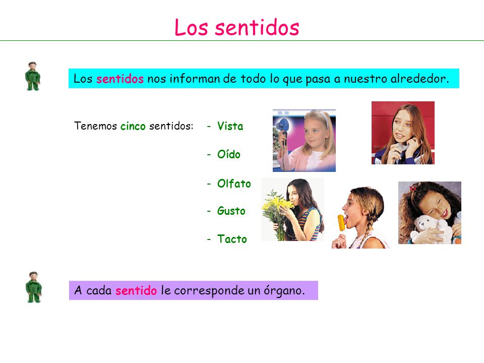 Los sentidos Los sentidos nos informan de todo lo que pasa a nuestro alrededor. Tenemos cinco sentidos: