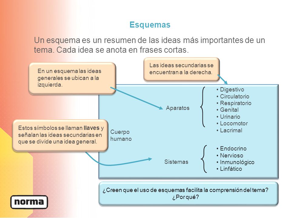 Esquemas Un esquema es un resumen de las ideas más importantes de un tema. Cada idea se anota en frases cortas.