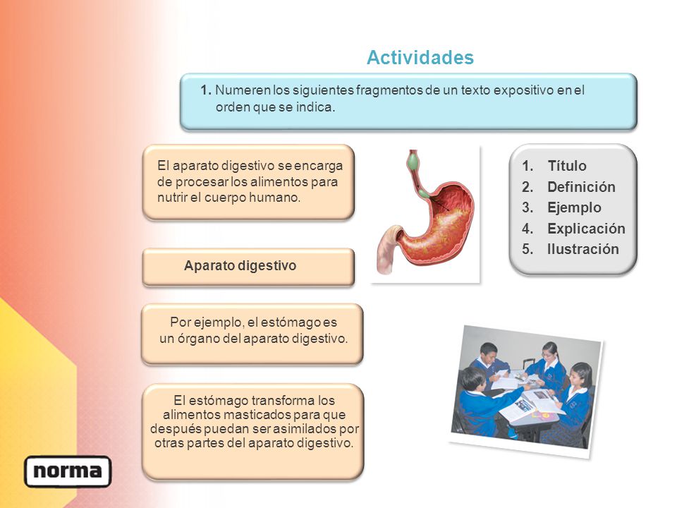 Por ejemplo, el estómago es un órgano del aparato digestivo.