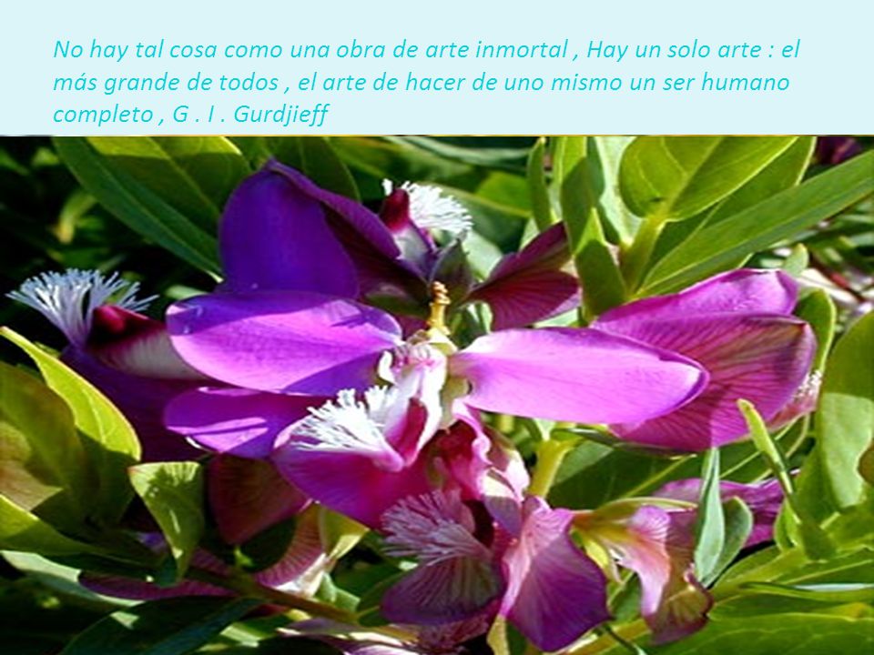 No hay tal cosa como una obra de arte inmortal , Hay un solo arte : el más grande de todos , el arte de hacer de uno mismo un ser humano completo , G .