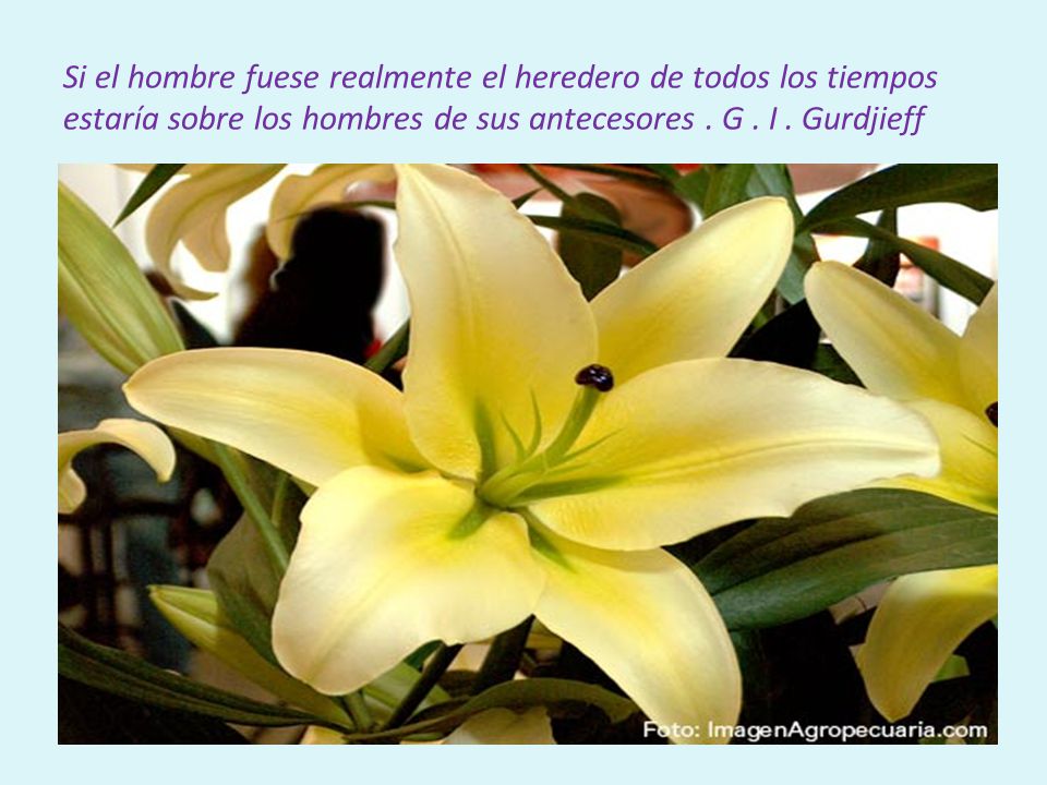 Si el hombre fuese realmente el heredero de todos los tiempos estaría sobre los hombres de sus antecesores .