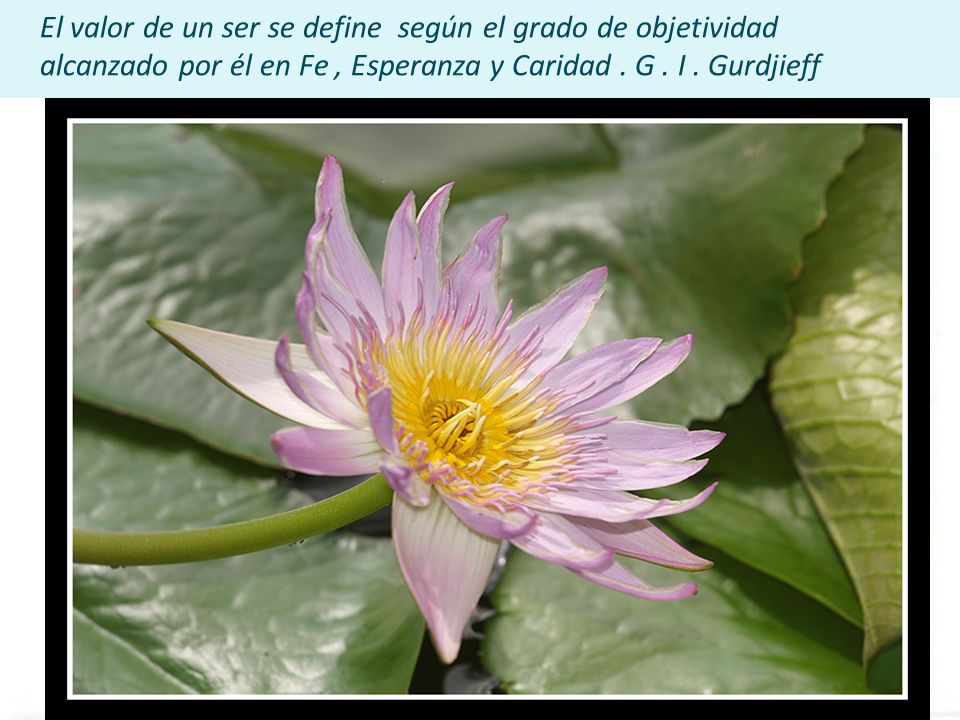 El valor de un ser se define según el grado de objetividad alcanzado por él en Fe , Esperanza y Caridad .