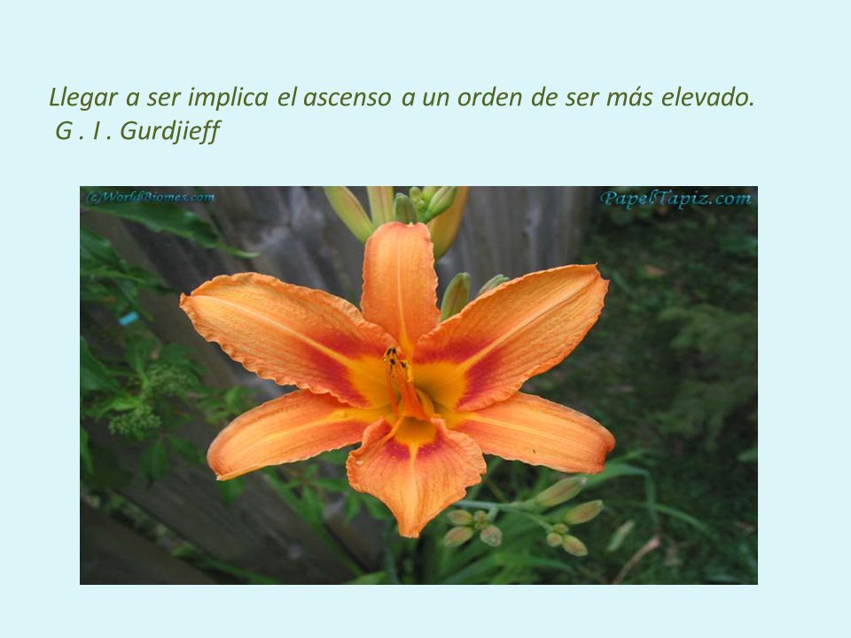 Llegar a ser implica el ascenso a un orden de ser más elevado. G. I