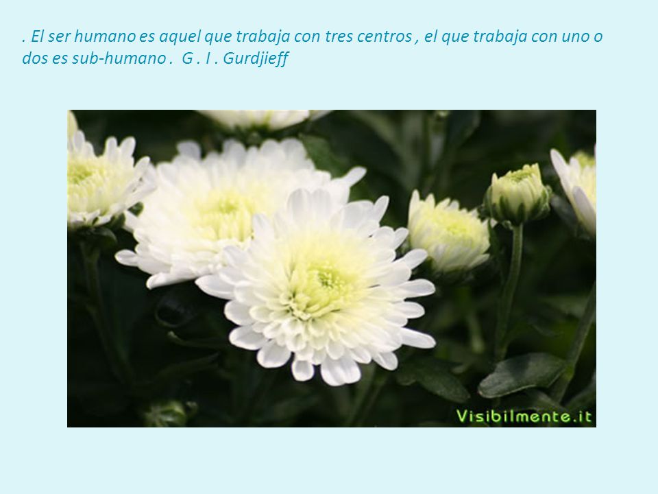 El ser humano es aquel que trabaja con tres centros , el que trabaja con uno o dos es sub-humano .