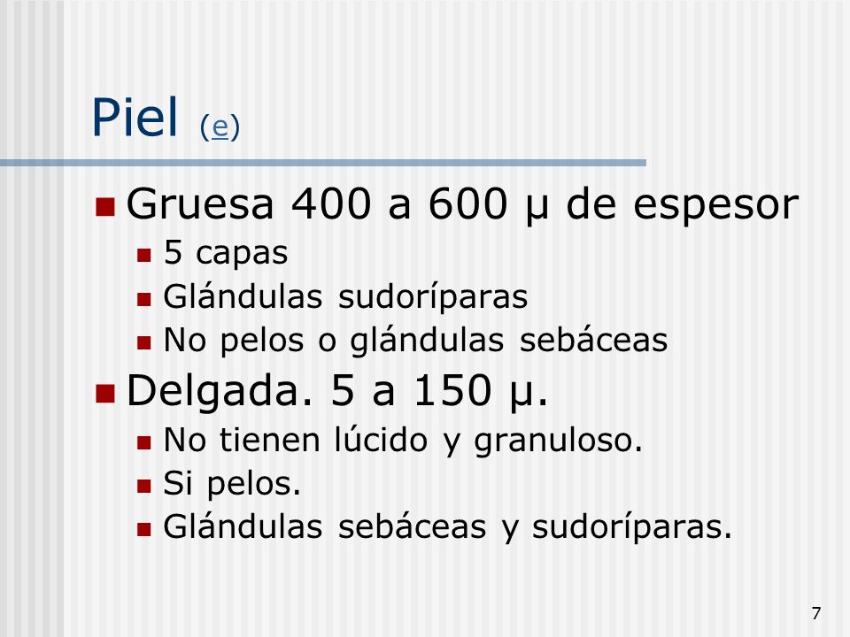 Piel (e) Gruesa 400 a 600 µ de espesor Delgada. 5 a 150 µ. 5 capas