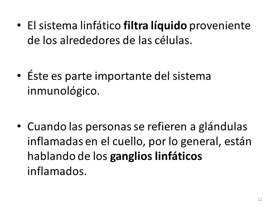 El sistema linfático filtra líquido proveniente de los alrededores de las células.