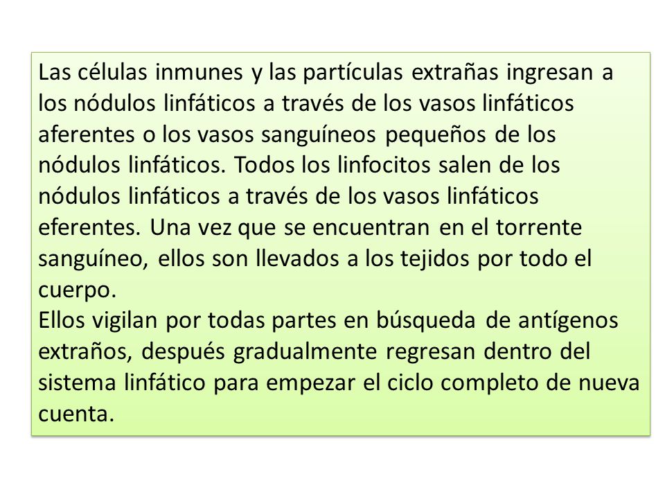 Las células inmunes y las partículas extrañas ingresan a los nódulos linfáticos a través de los vasos linfáticos aferentes o los vasos sanguíneos pequeños de los nódulos linfáticos. Todos los linfocitos salen de los nódulos linfáticos a través de los vasos linfáticos eferentes. Una vez que se encuentran en el torrente sanguíneo, ellos son llevados a los tejidos por todo el cuerpo.