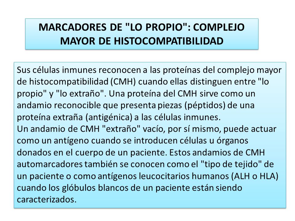 MARCADORES DE LO PROPIO : COMPLEJO MAYOR DE HISTOCOMPATIBILIDAD