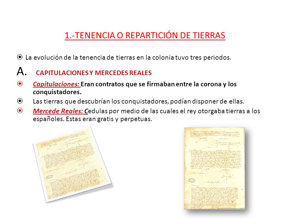 1.-TENENCIA O REPARTICIÓN DE TIERRAS