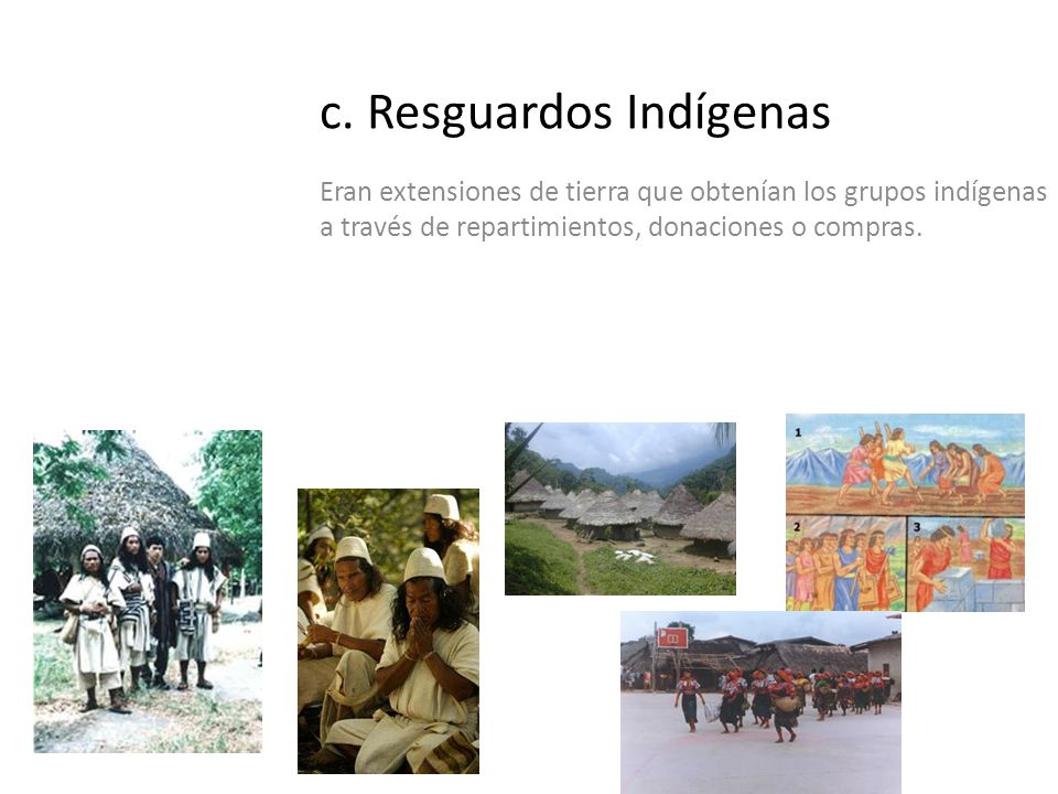 c. Resguardos Indígenas