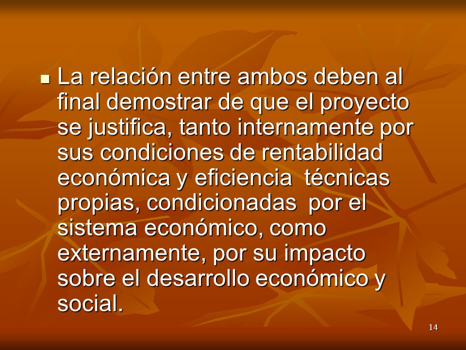 La relación entre ambos deben al final demostrar de que el proyecto se justifica, tanto internamente por sus condiciones de rentabilidad económica y eficiencia técnicas propias, condicionadas por el sistema económico, como externamente, por su impacto sobre el desarrollo económico y social.