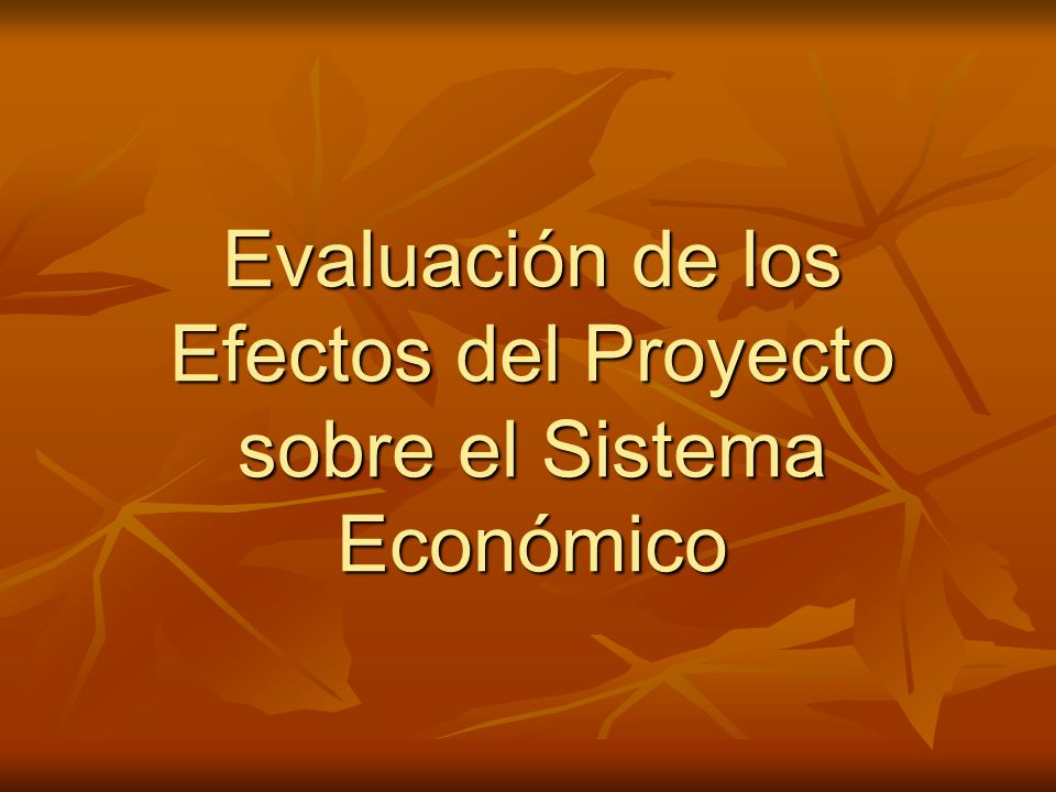 Evaluación de los Efectos del Proyecto sobre el Sistema Económico