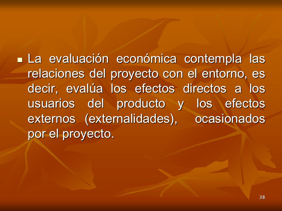 La evaluación económica contempla las relaciones del proyecto con el entorno, es decir, evalúa los efectos directos a los usuarios del producto y los efectos externos (externalidades), ocasionados por el proyecto.
